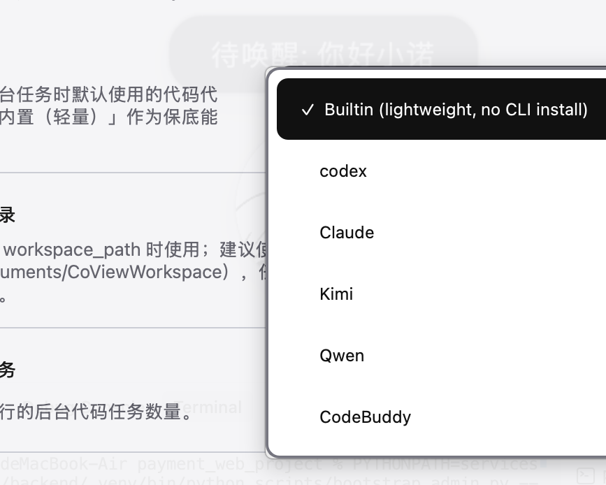 设置中选择后台代码代理提供方：Builtin、codex、Claude、Kimi、Qwen、CodeBuddy